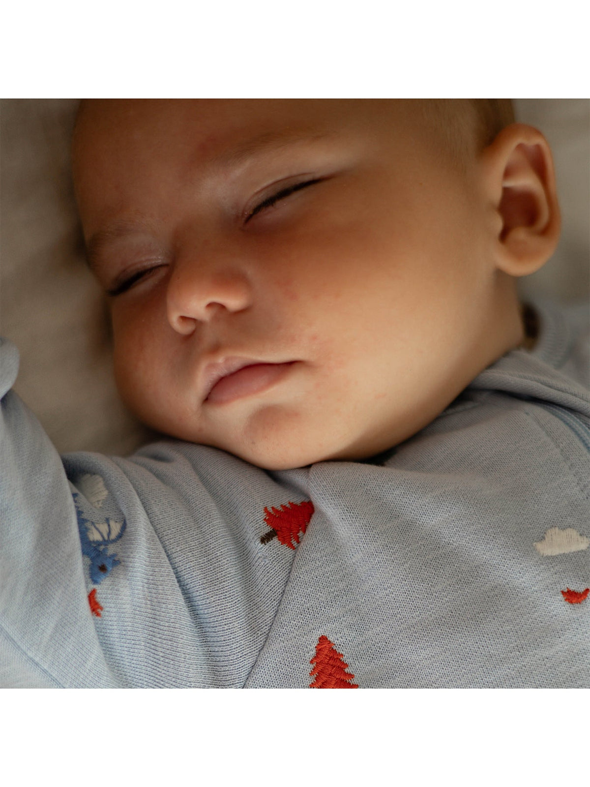 Baby Organic Cotton Embroidered Fleece Growsuit — photo 3