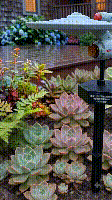 Starship Solar Garden Light — photo 9