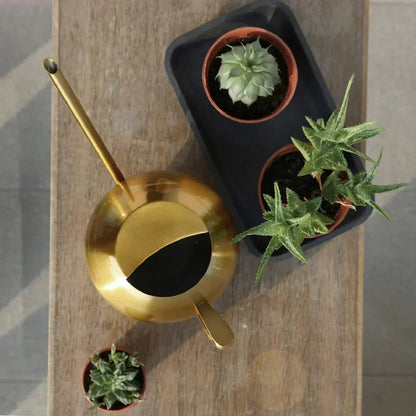 Watering Can | Minimalist Narrow Spout & Ergonomic Handle — photo 6