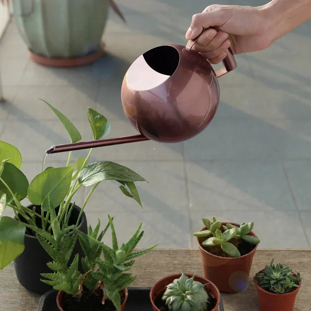 Watering Can | Minimalist Narrow Spout & Ergonomic Handle — photo 1