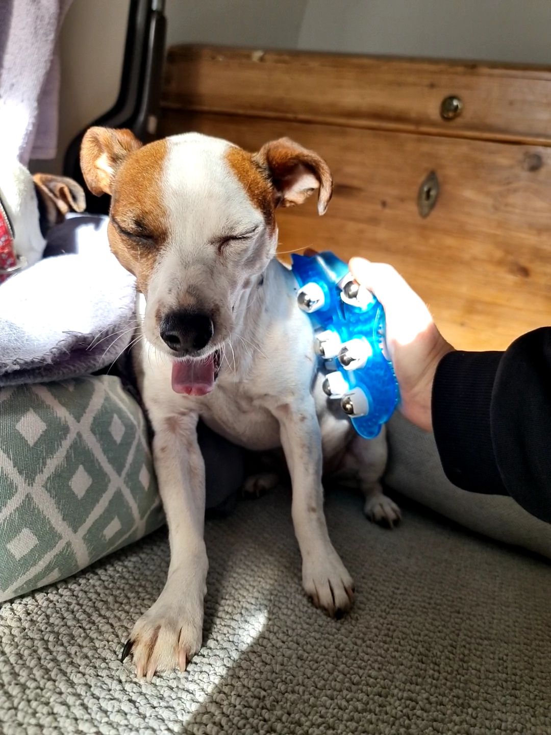 The Feel Good Therapy Package — photo 9