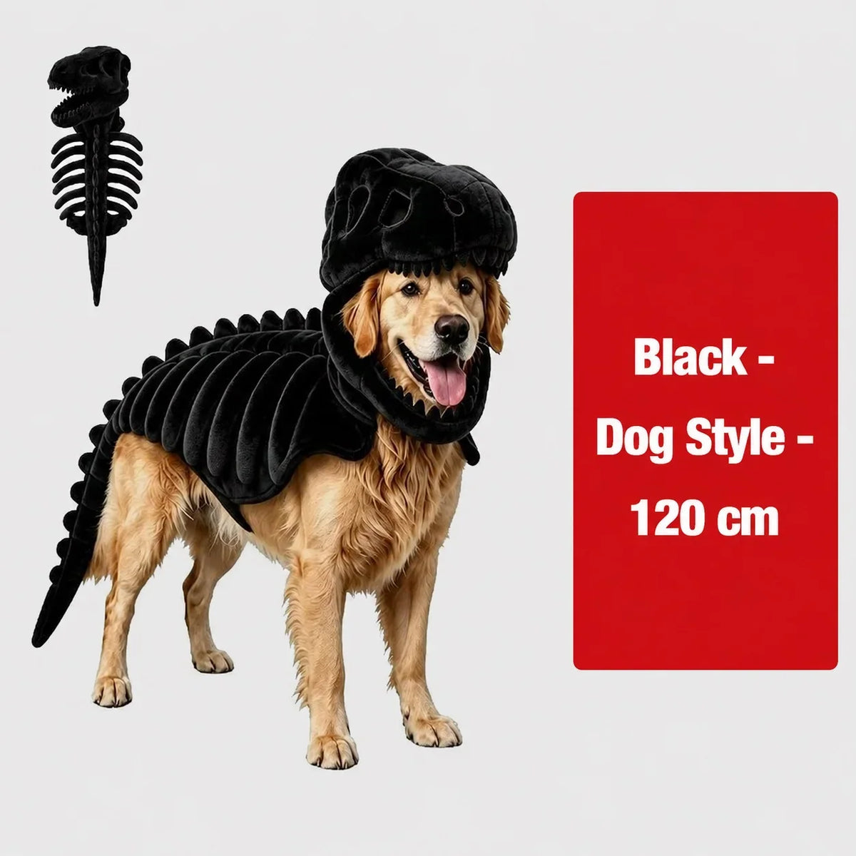 Dinosaur Skeleton Pet Costume — photo 36
