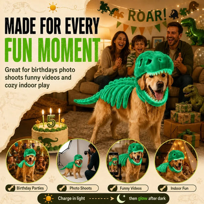 Dinosaur Skeleton Pet Costume — photo 11