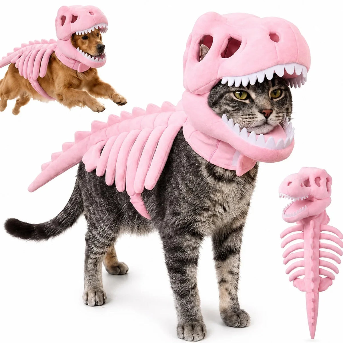 Dinosaur Skeleton Pet Costume — photo 40