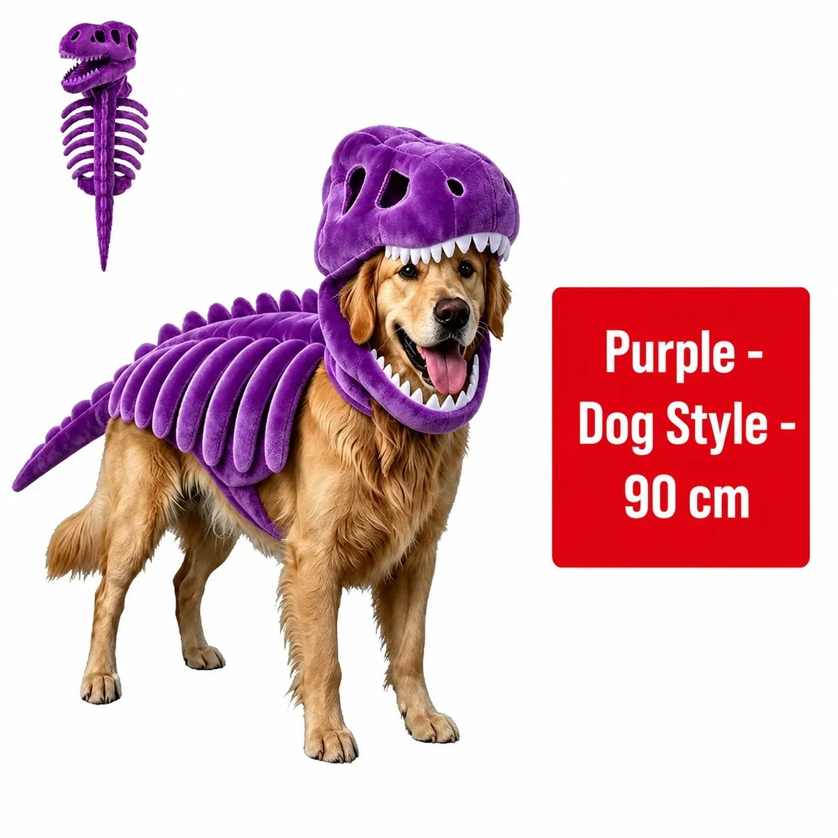 Dinosaur Skeleton Pet Costume — photo 28