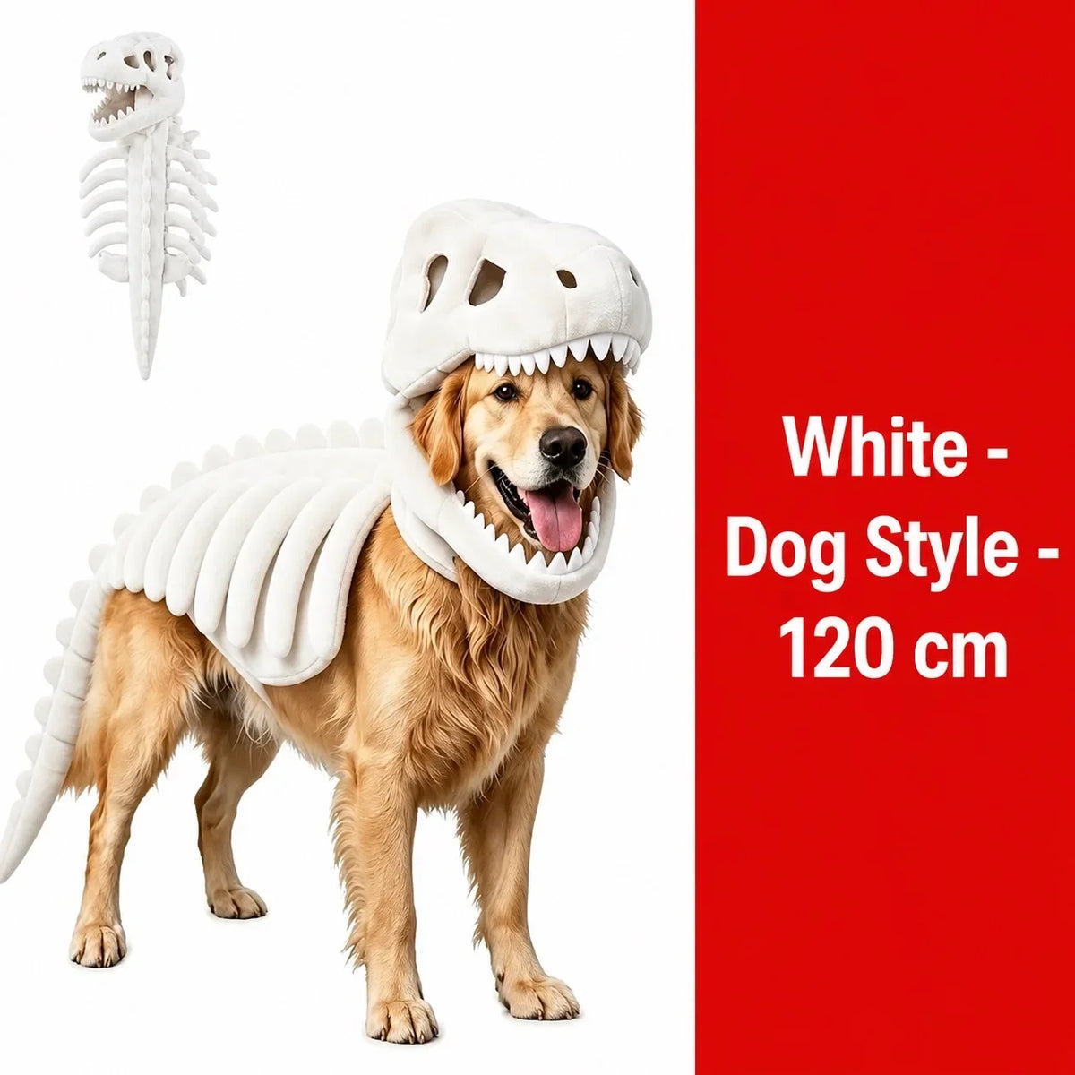 Dinosaur Skeleton Pet Costume — photo 33