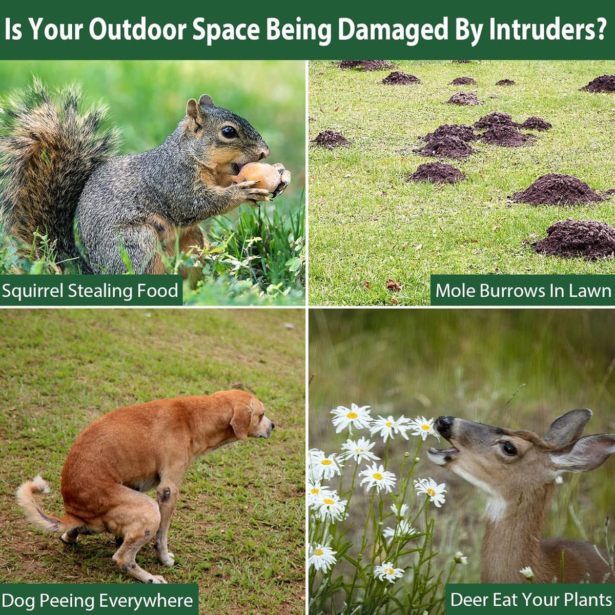 Guardixim Ultrasonic Fox Deterrent — photo 6
