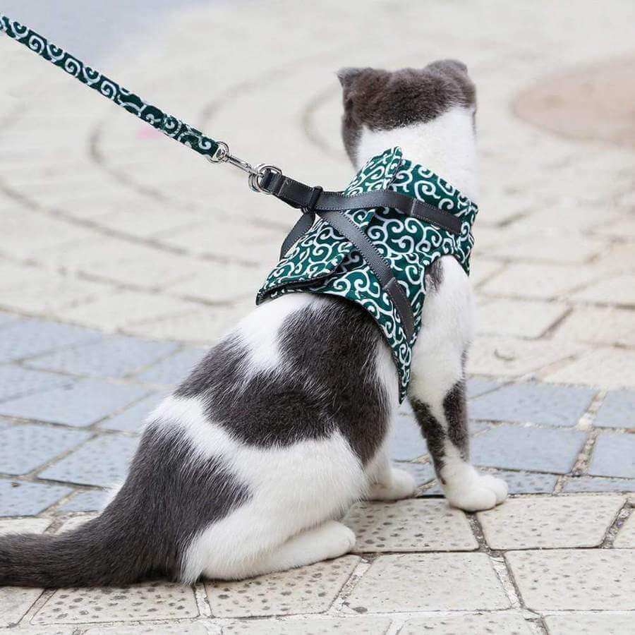 Cat Harness and Leash Set – Escape Proof Adjustable Mesh Vest Harness with Quick Release & 4 ft Leash, XS-S, Blue, Green or Red — photo 1