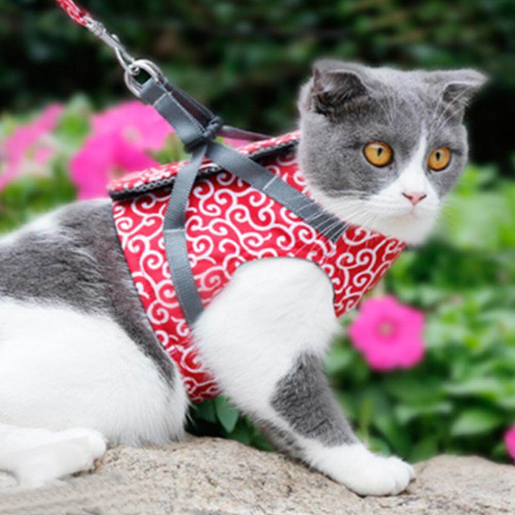 Cat Harness and Leash Set – Escape Proof Adjustable Mesh Vest Harness with Quick Release & 4 ft Leash, XS-S, Blue, Green or Red — photo 11