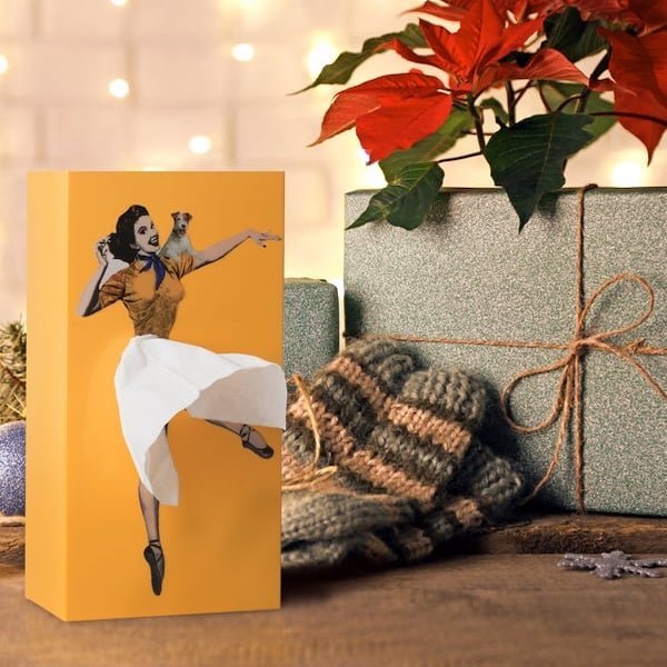 Flying Skirt Tissue Box – Funny Tissue Box Cover with Flying Skirt, Creative Home Decor, 6 Colours — photo 4