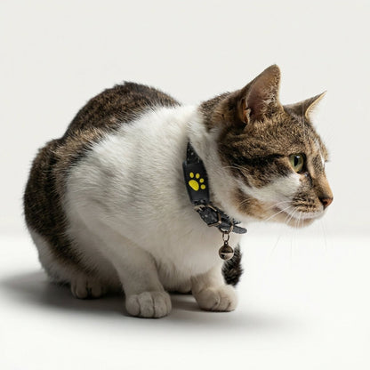 GPS Tracker for Dogs & Cats – Compact Pet Tracker with App Location & Rechargeable Battery, Attaches to Collar — photo 2