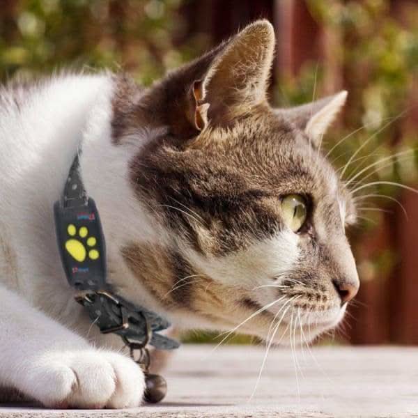 GPS Tracker for Dogs & Cats – Compact Pet Tracker with App Location & Rechargeable Battery, Attaches to Collar — photo 7