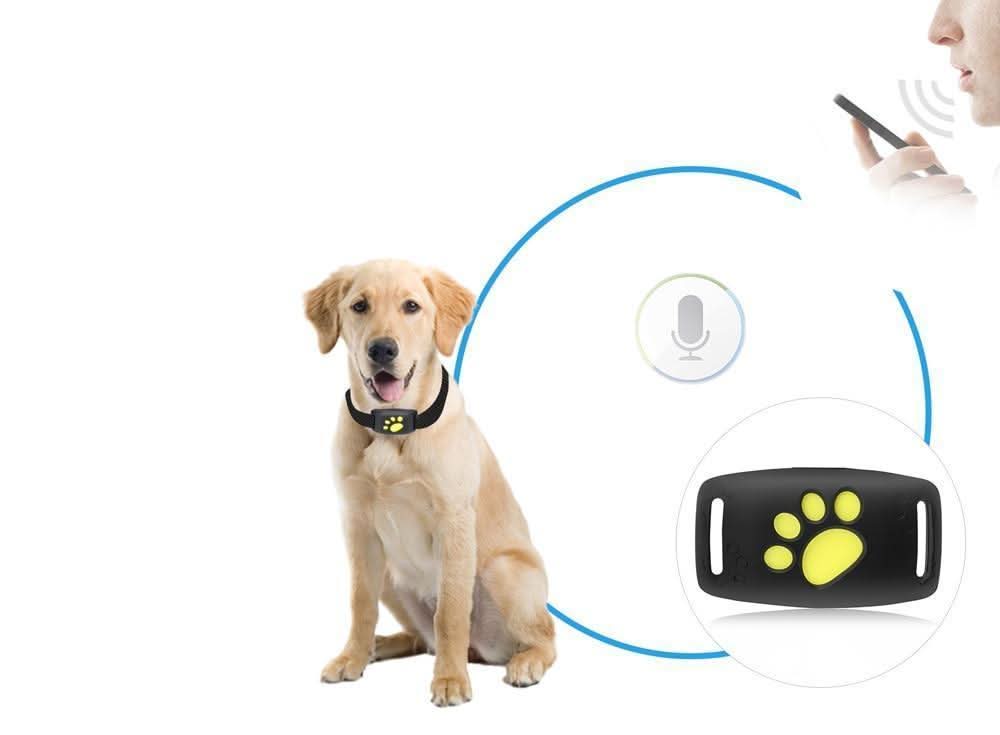 GPS Tracker for Dogs & Cats – Compact Pet Tracker with App Location & Rechargeable Battery, Attaches to Collar — photo 6