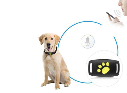 GPS Tracker for Dogs & Cats – Compact Pet Tracker with App Location & Rechargeable Battery, Attaches to Collar — photo 6