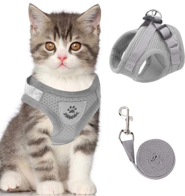 Reflective Cat Harness and Leash – Adjustable Breathable Mesh Harness for Cats & Kittens, XS-XL, 4 Colours — photo 4