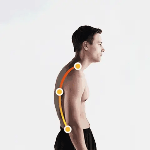 Adjustable Posture Support Brace in Breathable Elastic Fabric, Lightweight Everyday Back Support — photo 9