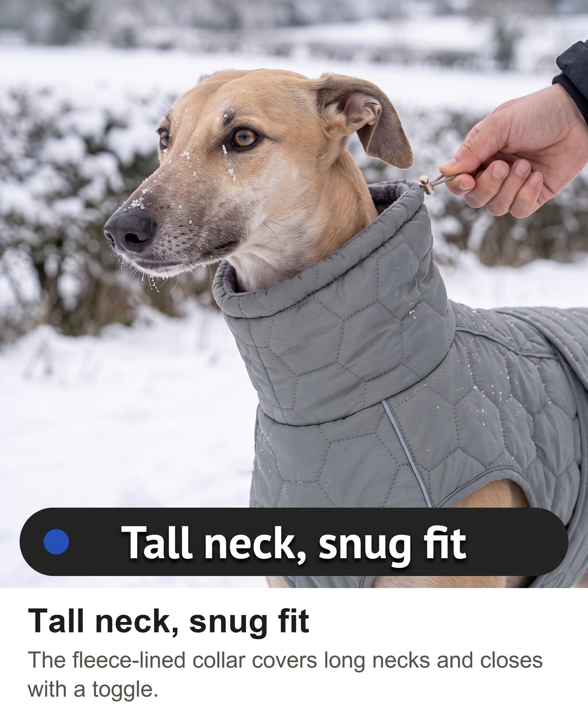 Dog Fleece Coat - Quilted Winter Coat with High Neck for Whippets & Greyhounds — photo 5
