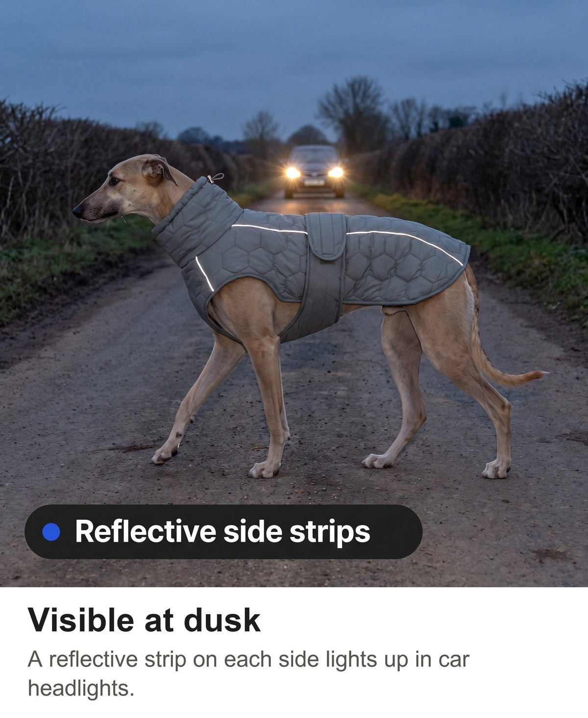Dog Fleece Coat - Quilted Winter Coat with High Neck for Whippets & Greyhounds — photo 6