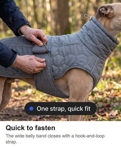 Dog Fleece Coat - Quilted Winter Coat with High Neck for Whippets & Greyhounds — photo 8