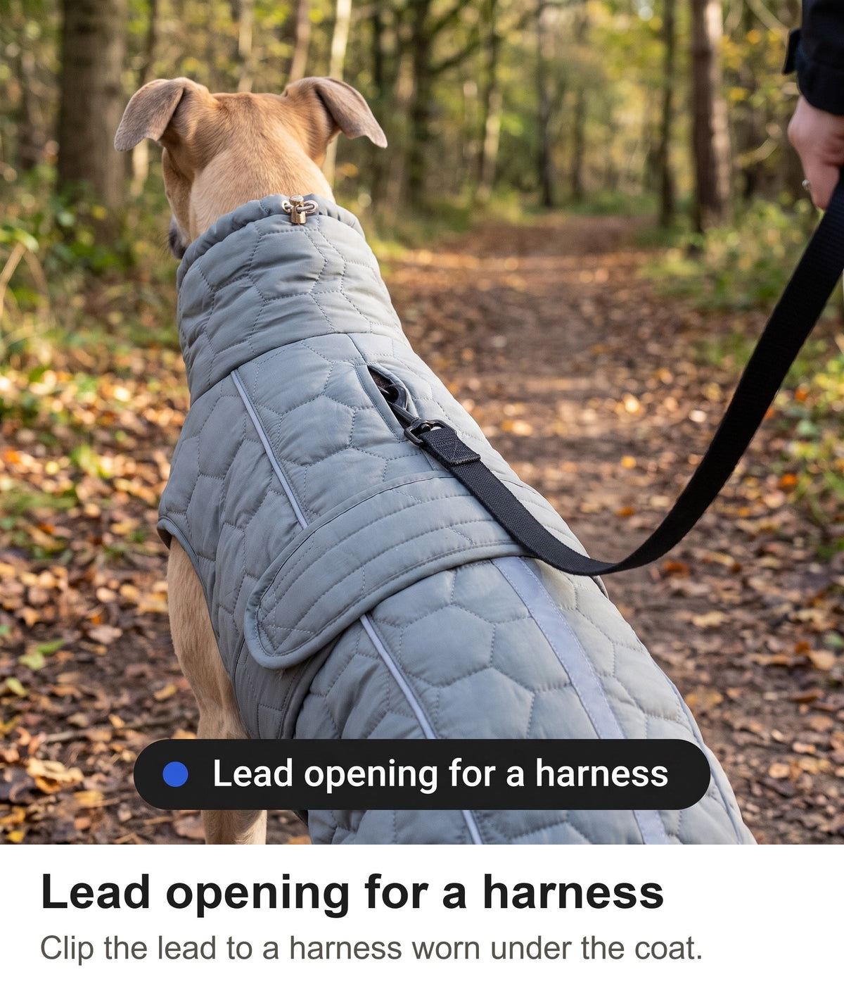 Dog Fleece Coat - Quilted Winter Coat with High Neck for Whippets & Greyhounds — photo 10