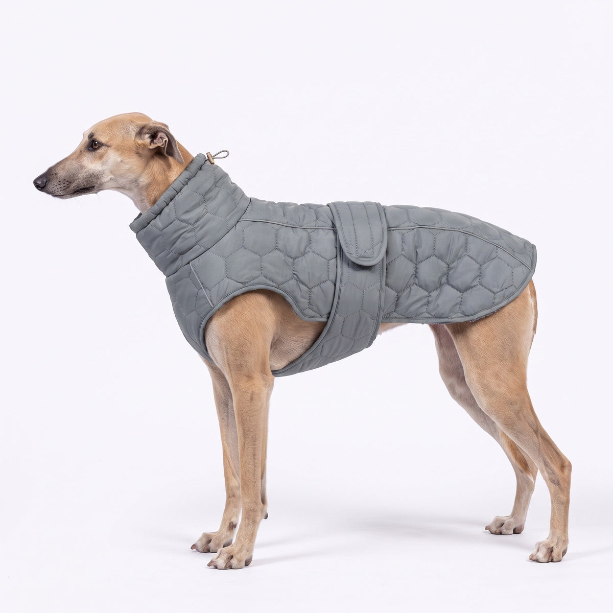 Dog Fleece Coat - Quilted Winter Coat with High Neck for Whippets & Greyhounds — photo 1