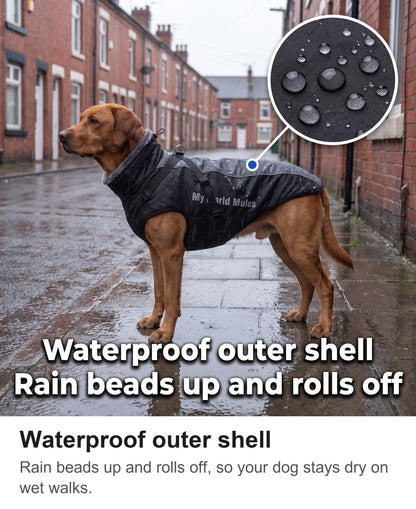 Waterproof Dog Coat with Harness - Reflective Winter Jacket with Fur Collar — photo 6