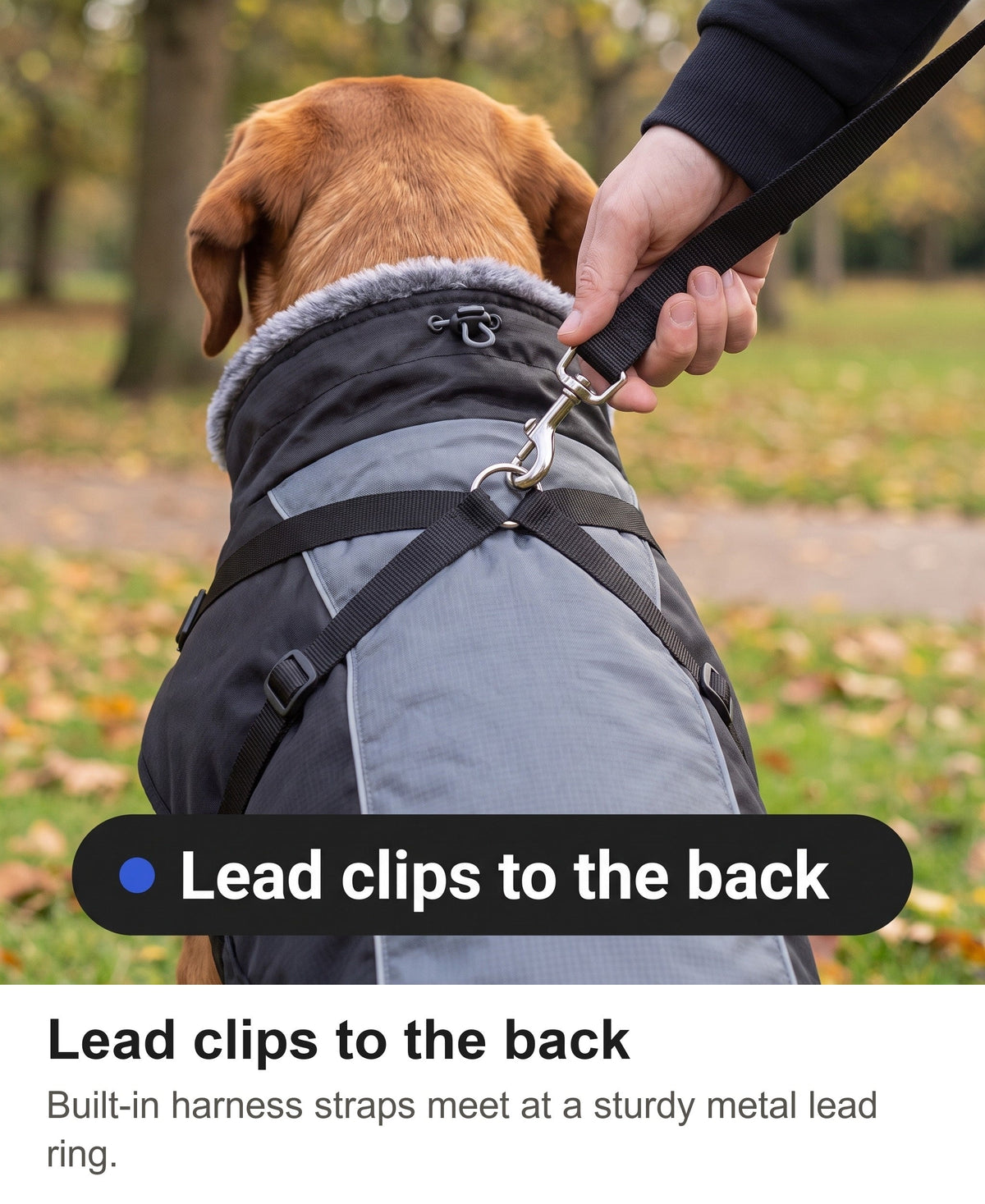 Waterproof Dog Coat with Harness - Reflective Winter Jacket with Fur Collar — photo 11